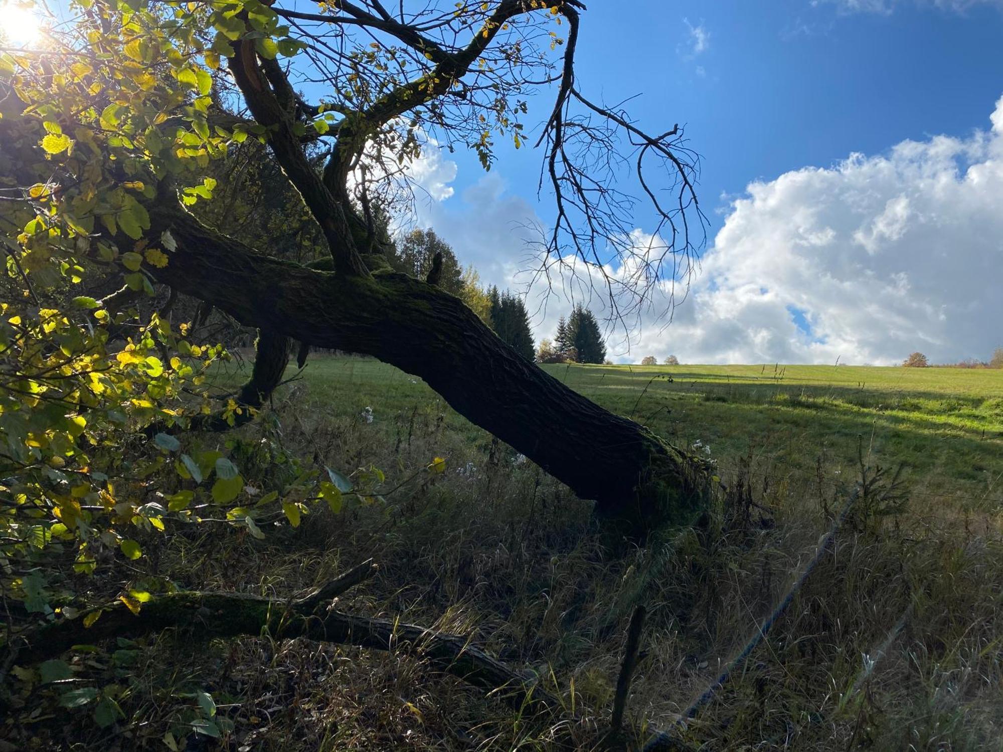 Zur Bergwiese 5 Sterne Appartementhaus Furstenau  Quarto foto
