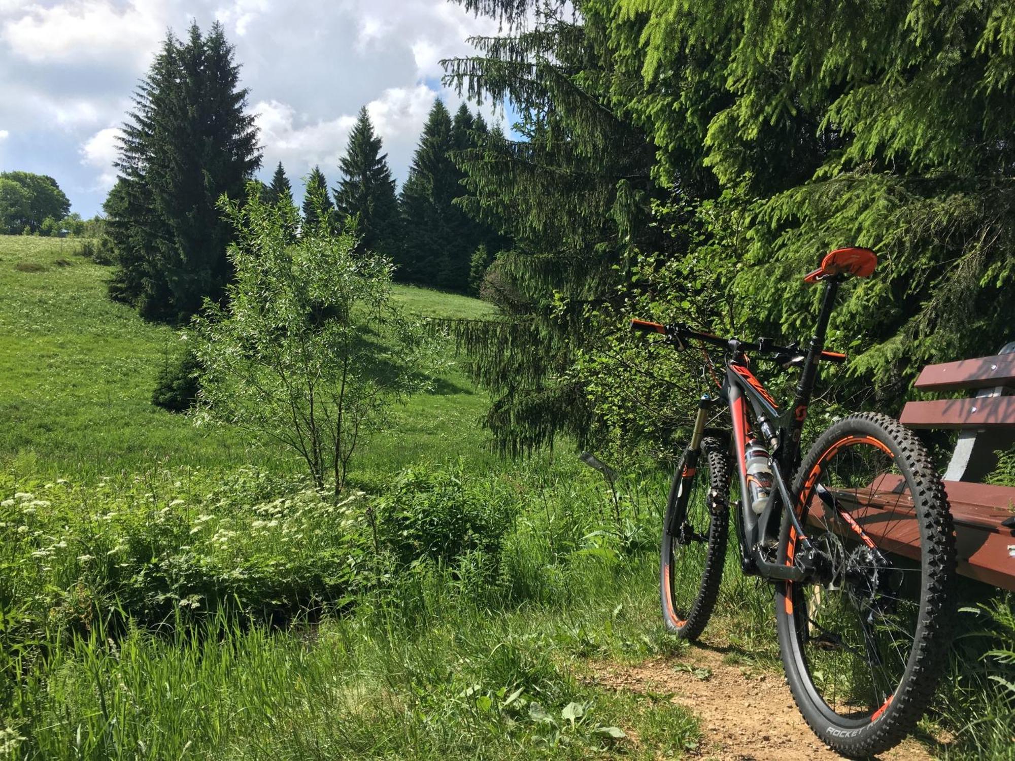 Zur Bergwiese 5 Sterne Appartementhaus Furstenau  Quarto foto